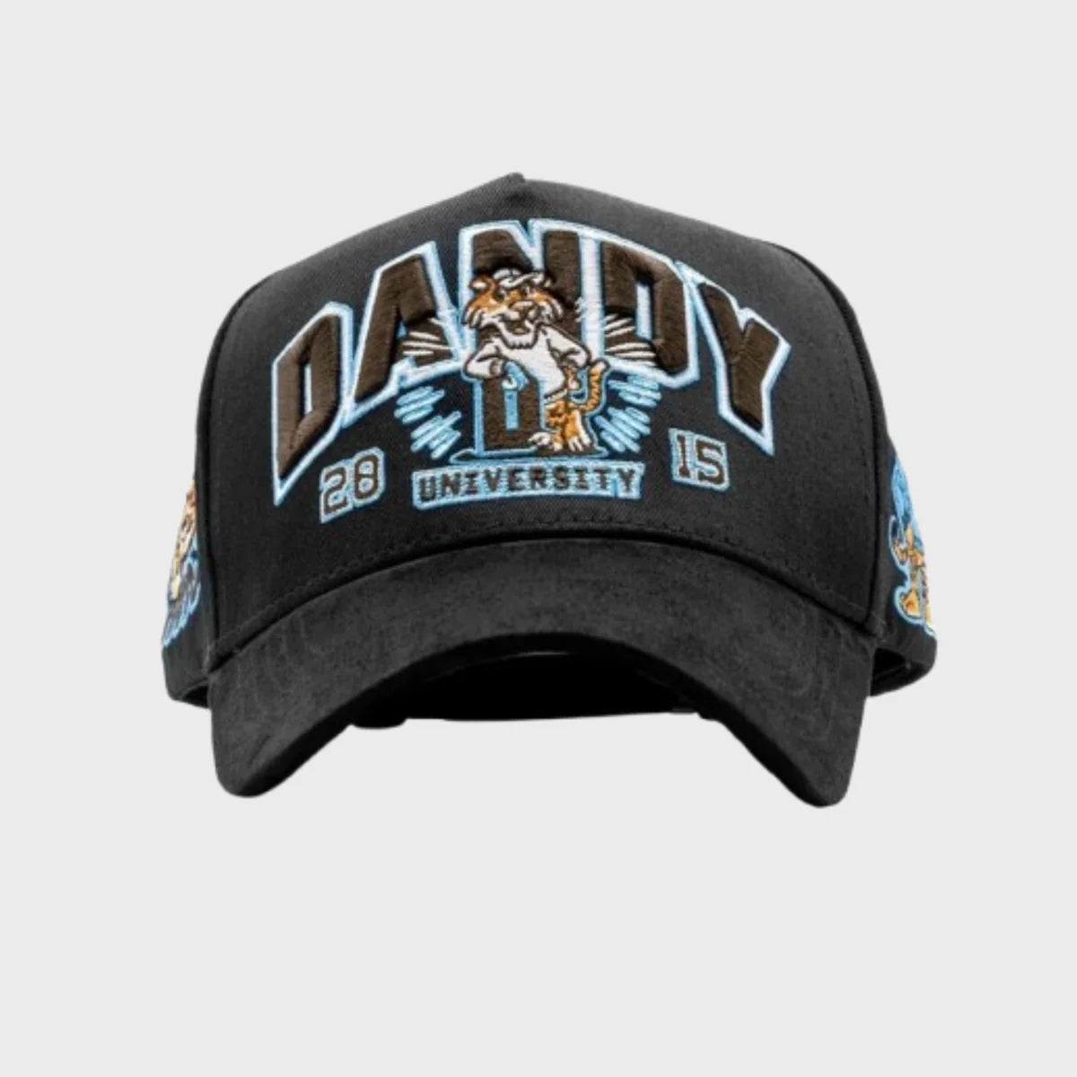 Dandy University Snapback Hat